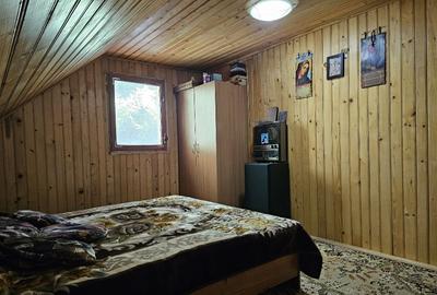 Cabana Lep?a, jud. Vrancea - Cheile Ti?i?ei - 11