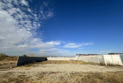 Spațiu comercial, în Chiajna - 6