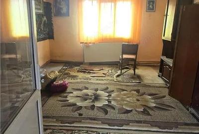 De vanzare casa in Viisoara, stradal teren generos 1265 mp - 12