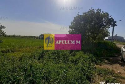 Teren de 5000 mp, în Copăceni - 10