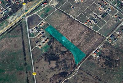 Teren Construcții intravilan de 798 mp, în Moșnița Nouă - 8