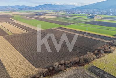 Teren extravilan in Sacele-3500mp, Comision cumparator 0% - 5