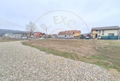 Teren 500-800 mp Braileni-Valea Ursului parcelabil - 3