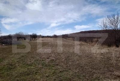 Teren de 6312 mp, în Central - 3