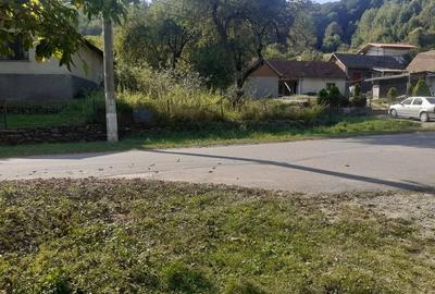 Teren de 6470 mp, în Nădrag - 4