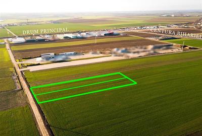 Teren intravilan de 5500 mp, în Biharia - 3