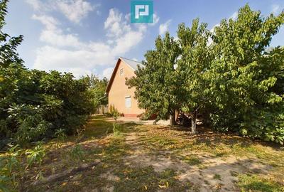 Casă cu 6 camere cu Teren 2877 Mp în Ineu - 2