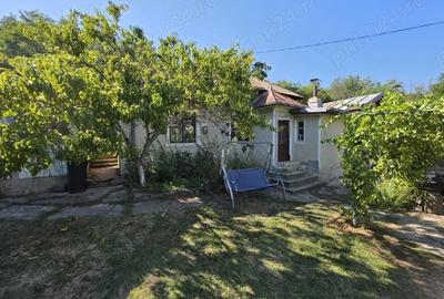 Casă cu 3 camere cu Teren 860 Mp în Valea - 9