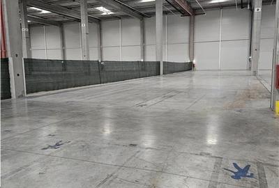 Spatiu Industrial - 6000 mp - Logistica - Productie - Depozitare - Distributie - 9