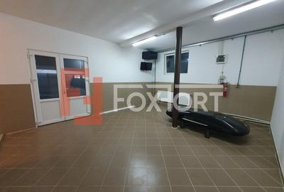 Spațiu industrial, 246 mp în Șag