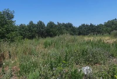 Casa de vanzare in Nadab, disponibila in 2 rate, cu 3 camere ?i baie in zona centrala - 1