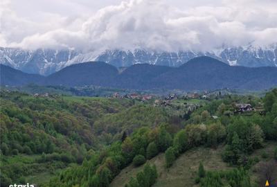 Spațiu comercial, în Fundata - 17