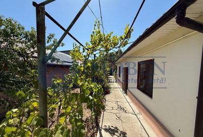 Brestei-strada principala-casa veche-teren 800mp-investit... - 2