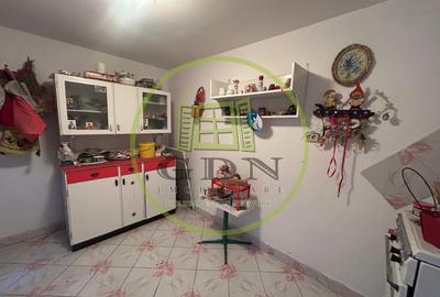 Casa plan parter, 63 mp utili, 366 mp teren, Bariera Valcii - 4