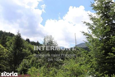 Teren de 278 mp, în Central - 4