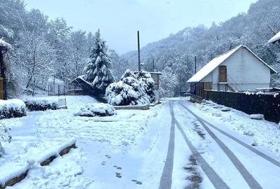 Teren pentru investitii 11.000 mp - 18