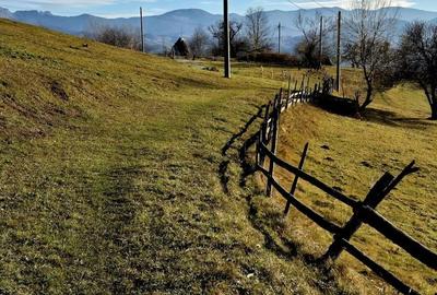 Teren de 20000 mp, în Moieciu - 3