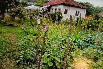Casă cu 4 camere în Beba Veche - 3