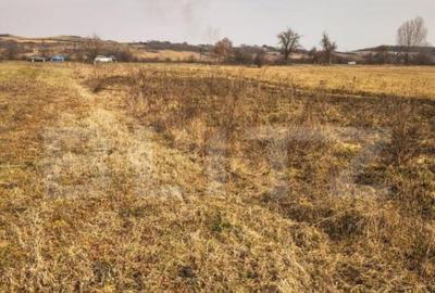 Teren de 4000 mp, în Central