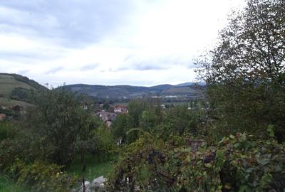 Vand teren intravilan in Deva, zona Viile Noi, suprafata totala 581 mp - 3