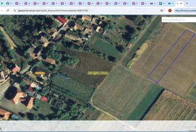 Teren de 1600 mp, în Cauaceu