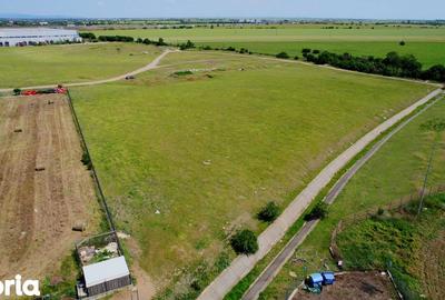 Teren de 35000 mp, în Zădăreni