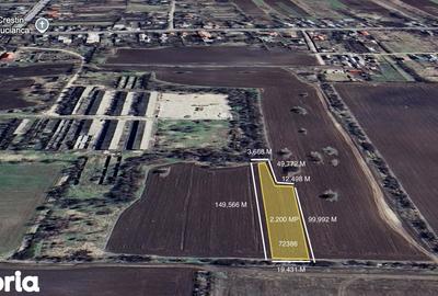 Teren de 48300 mp, în Butimanu - 2