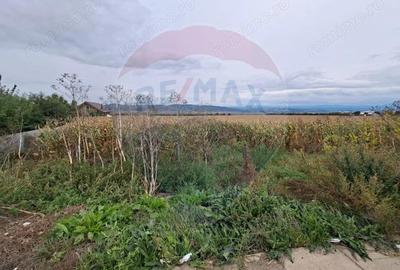 Teren 5.000 mp strada Tineretului, ora?ul Buhu?i - 3