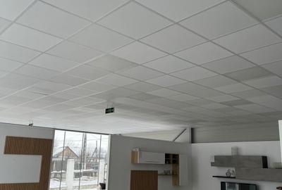 Spațiu comercial, de 460 mp, în Giubega - 3