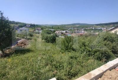 Teren de 1500 mp, în Centura - 3