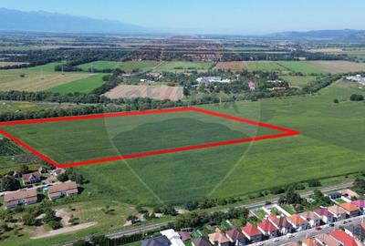 Teren 60,000mp Fagaras / Soseaua Combinatului - 2