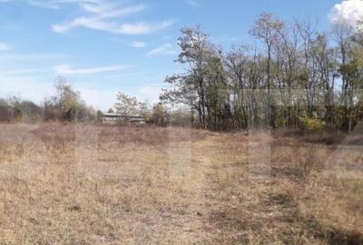 Teren 7240mp, zona Prelungirea Panduri - 4