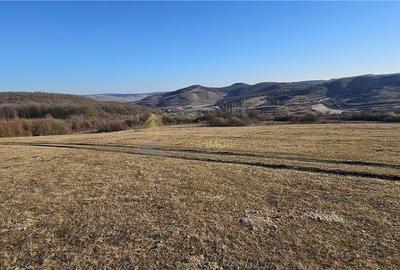 TEREN EXTRAVILAN 6119 MP TAUTI - 3