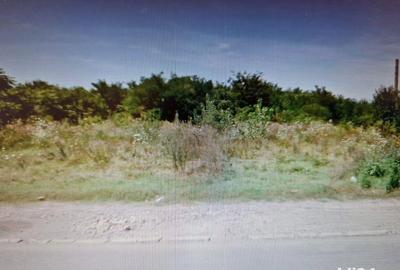 Teren de 5200 mp, în Bereasca - 8