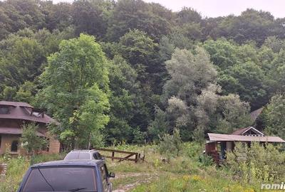 Casă cu 6 camere cu Teren 2700 Mp în Bradu - 3