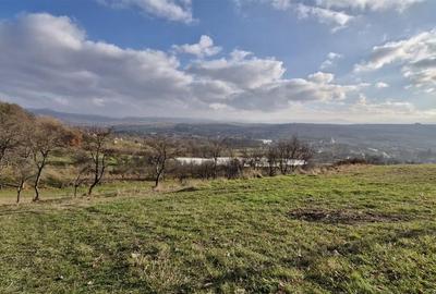 RECO Teren intravilan in Borod, Bihor 1750mp - 16