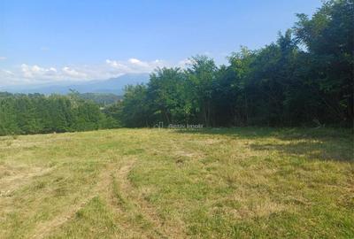 Teren de 1344 mp, în Tălmaciu - 1