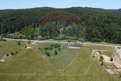 Teren 5,561mp Paltinoasa / Strada principala - 9