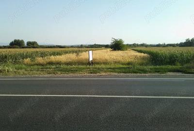 Teren de 5800 mp, în Jena - 1