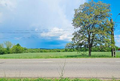 Proprietate com.Bodesti, casa + anexe + teren 7481 mp - 4