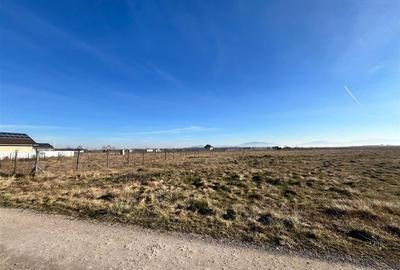 Teren intravilan, HARMAN 1000MP - 2