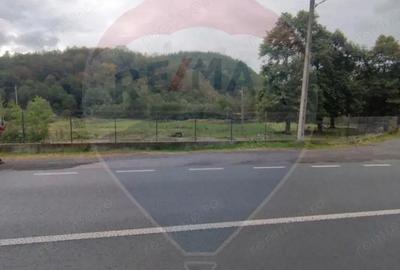 Teren de 12095 mp, în Avram Iancu (Vârfurile) - 2