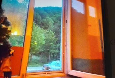 Garsonieră în Central - 3