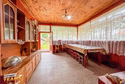 FILM! Domeniu de 1.660mp,cu doua case, atelier si anexe,Lemnia,Covasna - 10