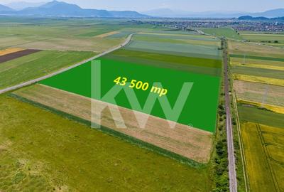 Teren de vanzare I 43 500 mp I Deschidere la drum - Harman - 3