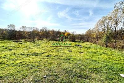 Teren Dem Radulescu 1092mp - 1