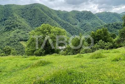 Teren intravilan de vanzare in Martinia de sus - 5