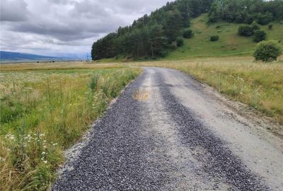 Teren de 6600 mp, în Vale - 8