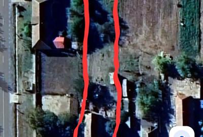 Casă cu 5 camere în Biled - 2