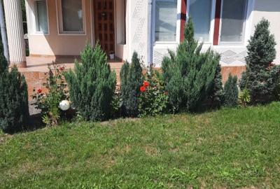 Unguras, casa , 6 ari teren - 17